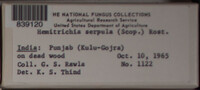 Image Associated With the Occurence